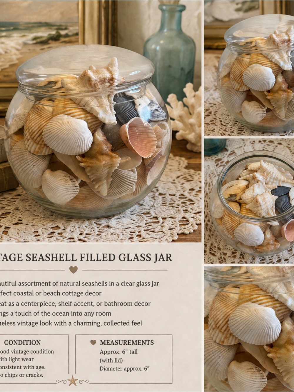 Seashell Filled Glass Jar - Natural Mixed Shells